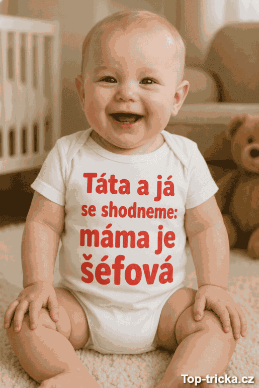 Obrázek produktu 1