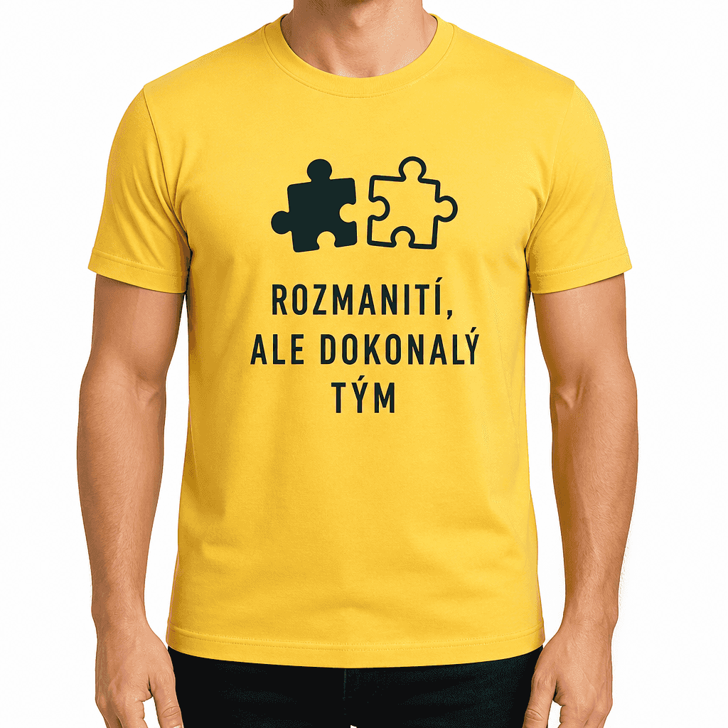 Tričko pro kolegu – ROZMANITÍ, ALE DOKONALÝ TÝM