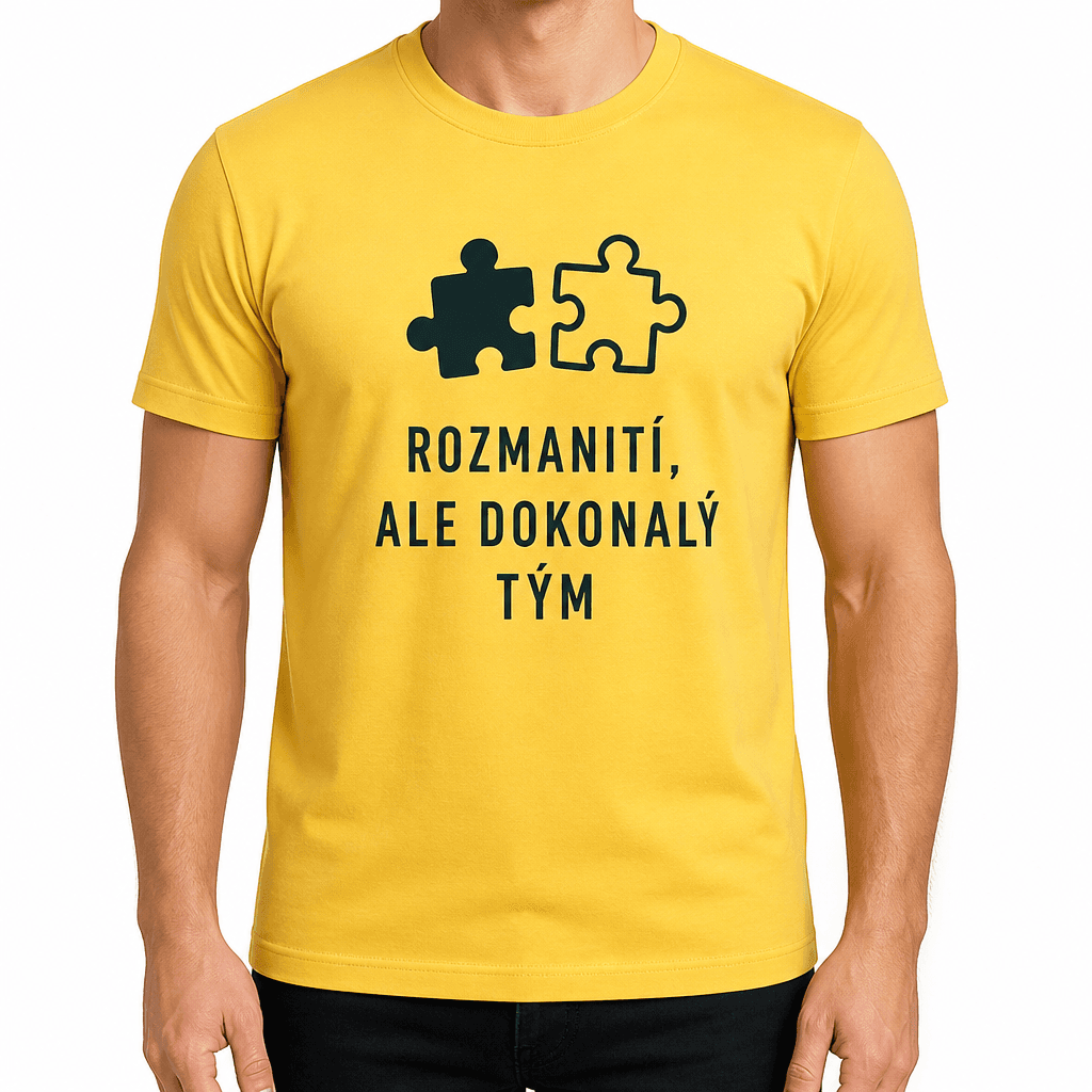 Tričko pro kolegu – ROZMANITÍ, ALE DOKONALÝ TÝM