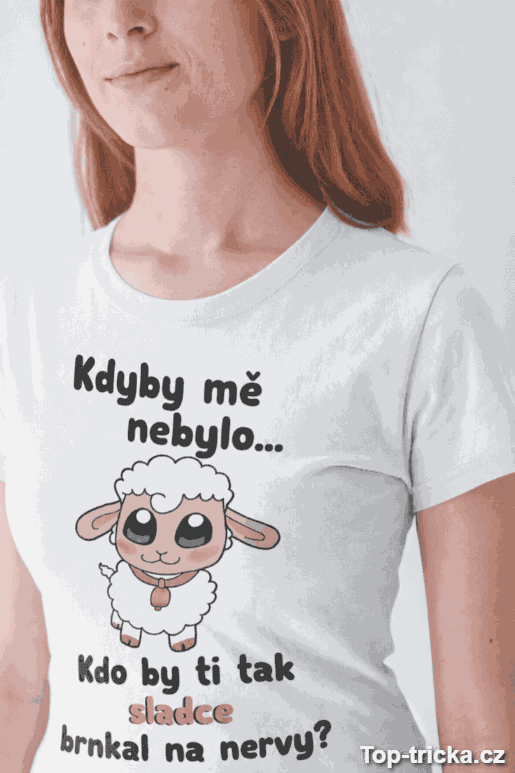 Obrázek produktu 1