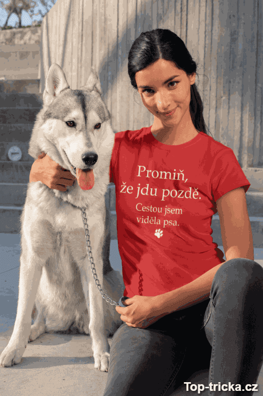 Obrázek produktu 1