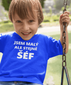 Roztomilý chlapec na hřišti, houpání v parku.