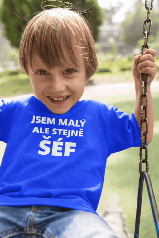 Roztomilý chlapec na hřišti, houpání v parku.
