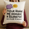 Samolepka na polštář s vtipným nápisem o říhání a lásce. Ideální dekorace pro milovníky humoru a pohodlí.